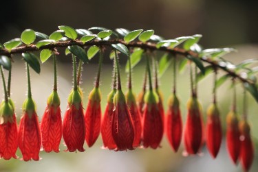 常州武进区零用贷短借：轻松解决临时资金需求
