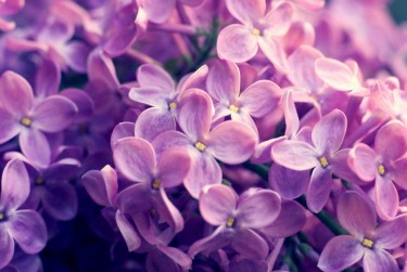 常州武进区企业急用钱贷款攻略：快速融资解燃眉之急